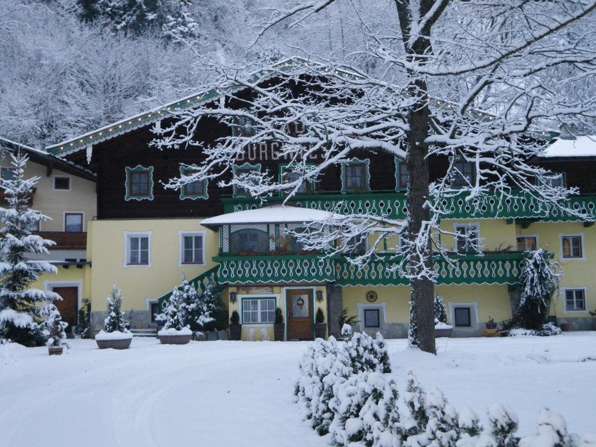 Pension Heilbad Burgwies Stuhlfelden Exterior photo